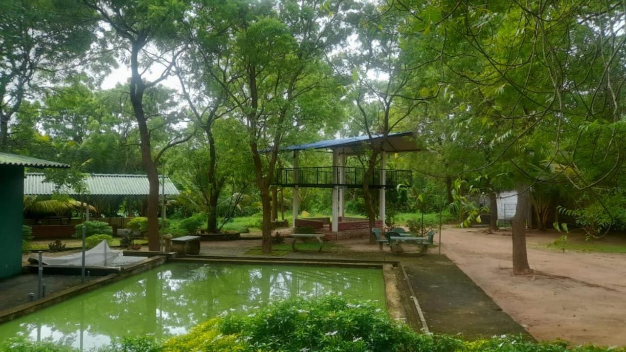 Leon Hotel And Restaurant Kataragama Eksteriør billede